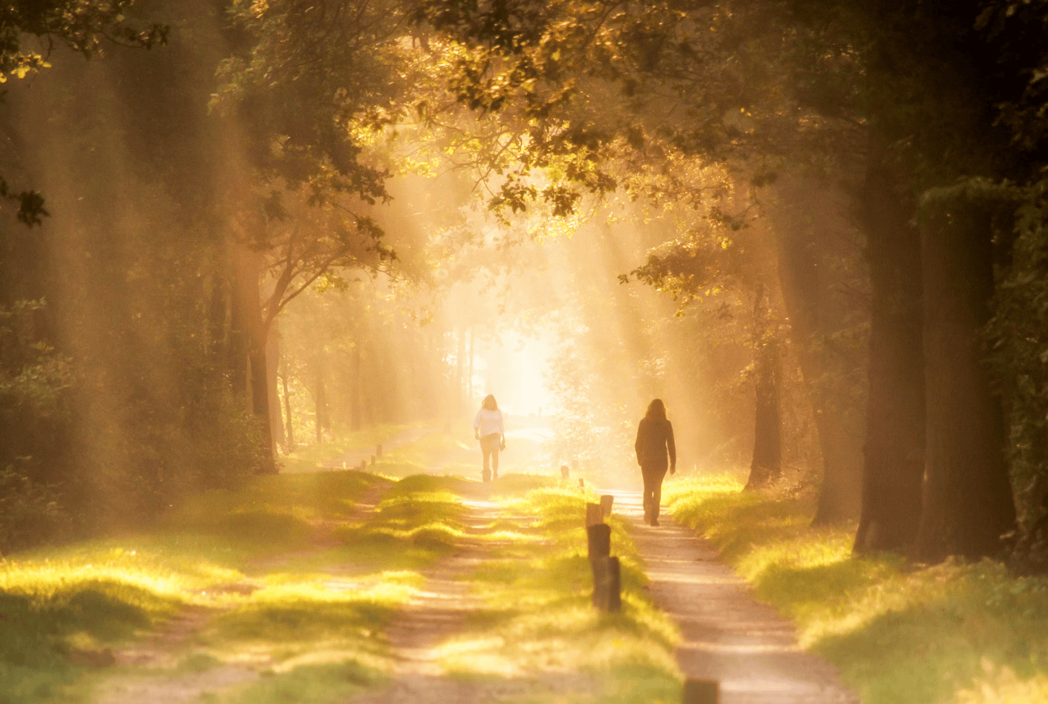 ngo-illustration-Artboard 5 4 Real Past Life Regressions